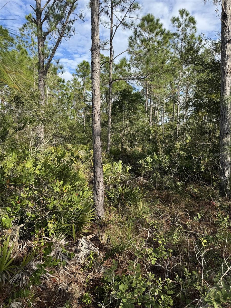Tbd Property Photo 5