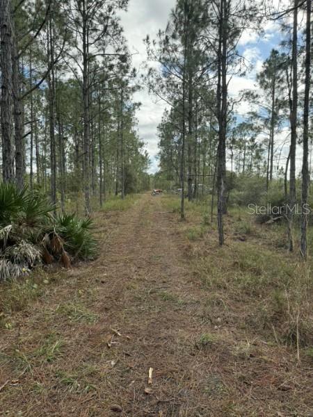 Tbd Property Photo 6