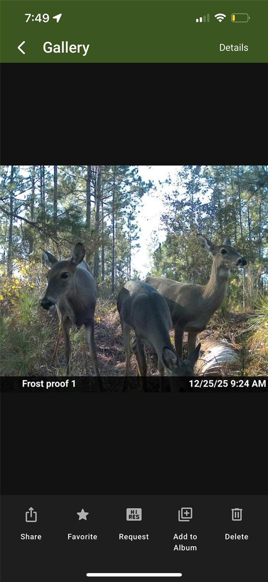 Tbd Property Photo 9
