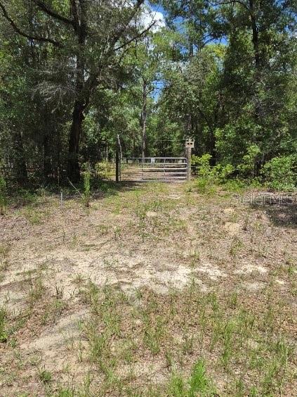 8355 N Orton Way Property Photo 2