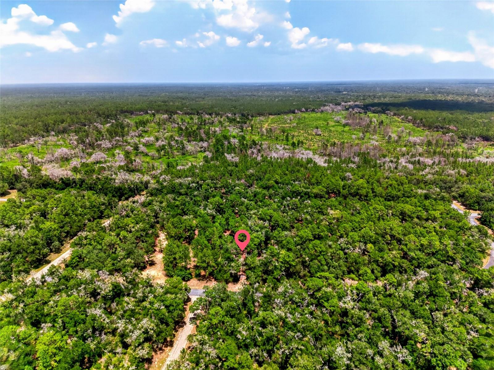 8355 N Orton Way Property Photo 4