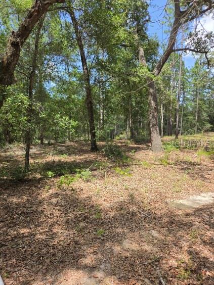 8355 N Orton Way Property Photo 5