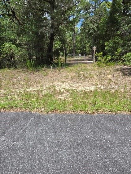 8355 N Orton Way Property Photo 6