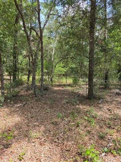 8355 N Orton Way Property Photo 8