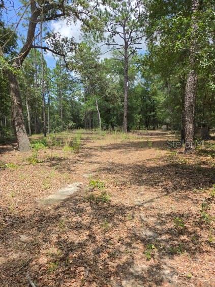 8355 N Orton Way Property Photo 9