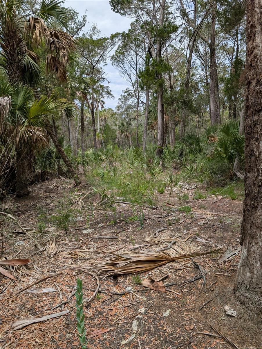 0 Se Bee Tree Rd Property Photo 3