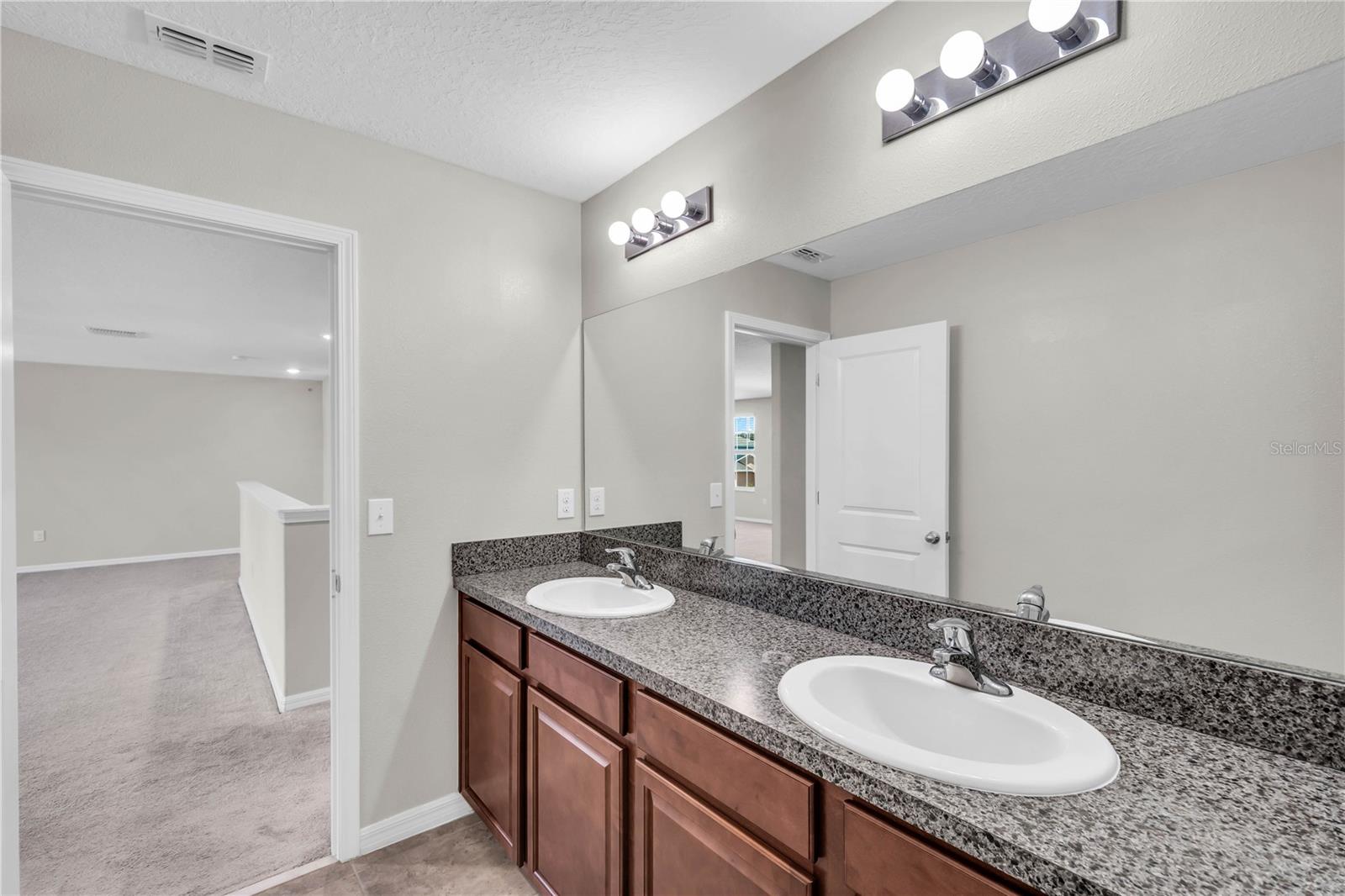 1739 Broad Winged Hawk Dr Property Photo 60