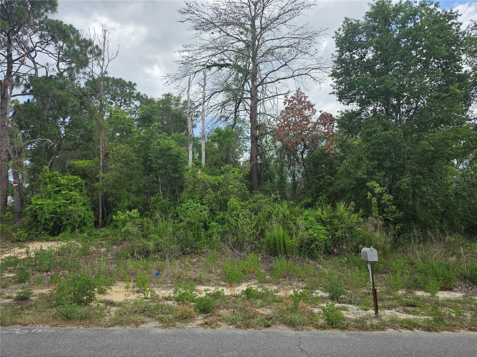 3475 El Prado Ave Property Photo 1