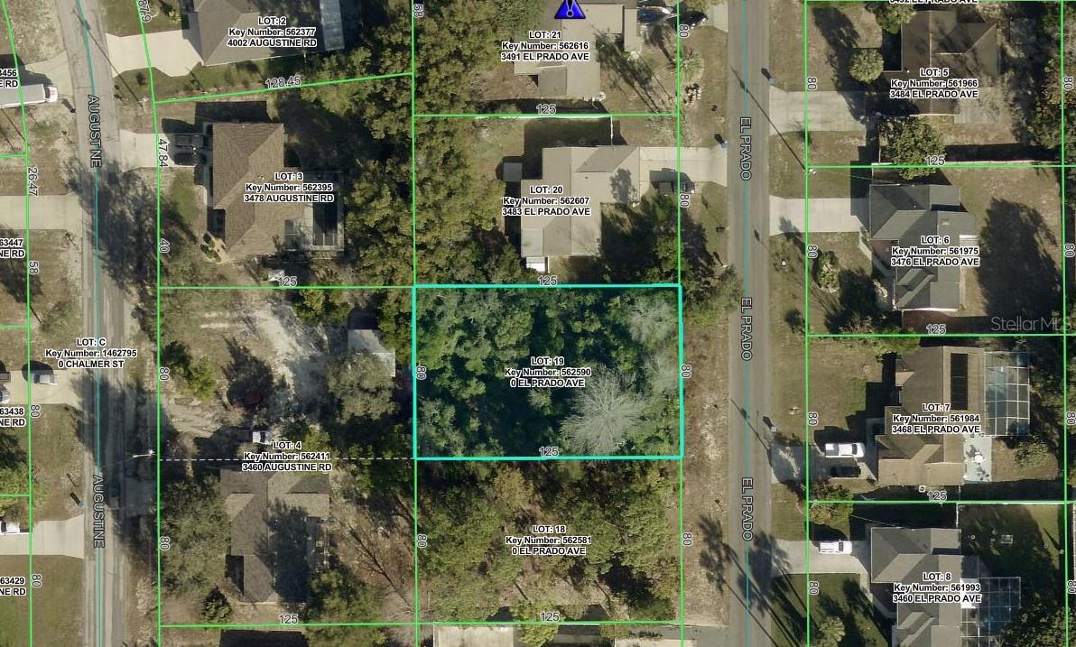 3475 El Prado Ave Property Photo 2