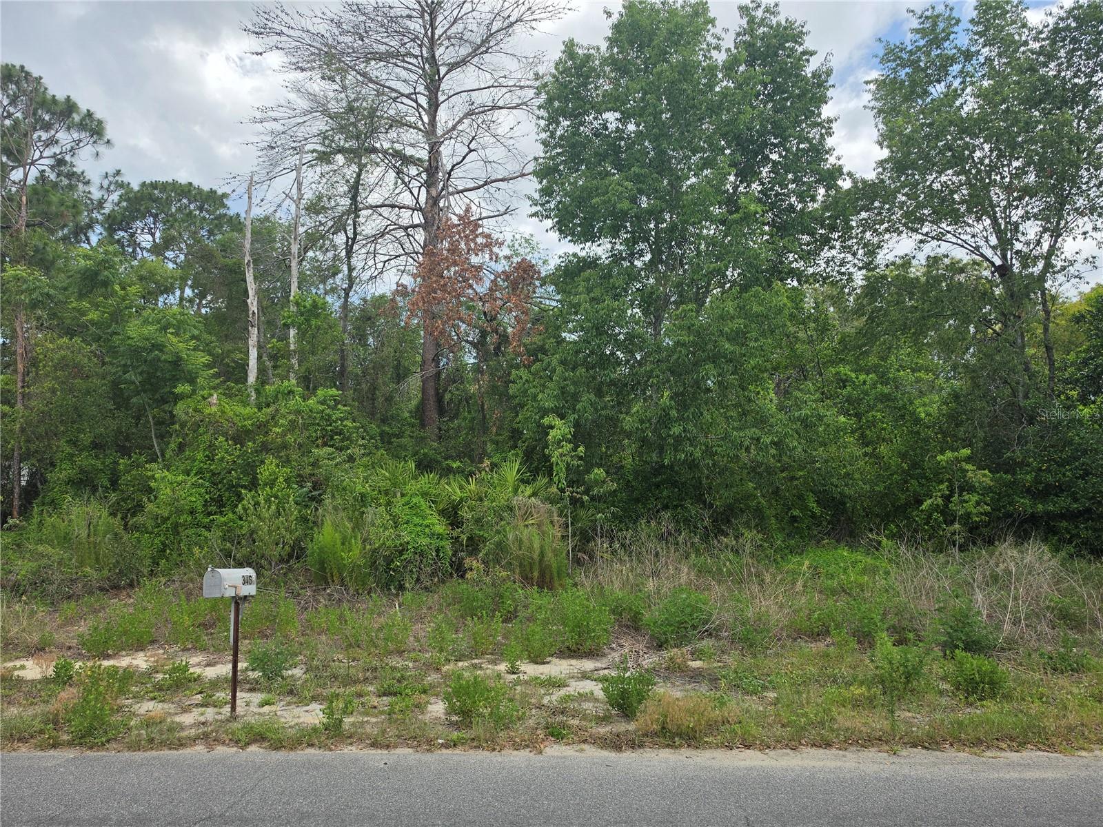 3475 El Prado Ave Property Photo 3