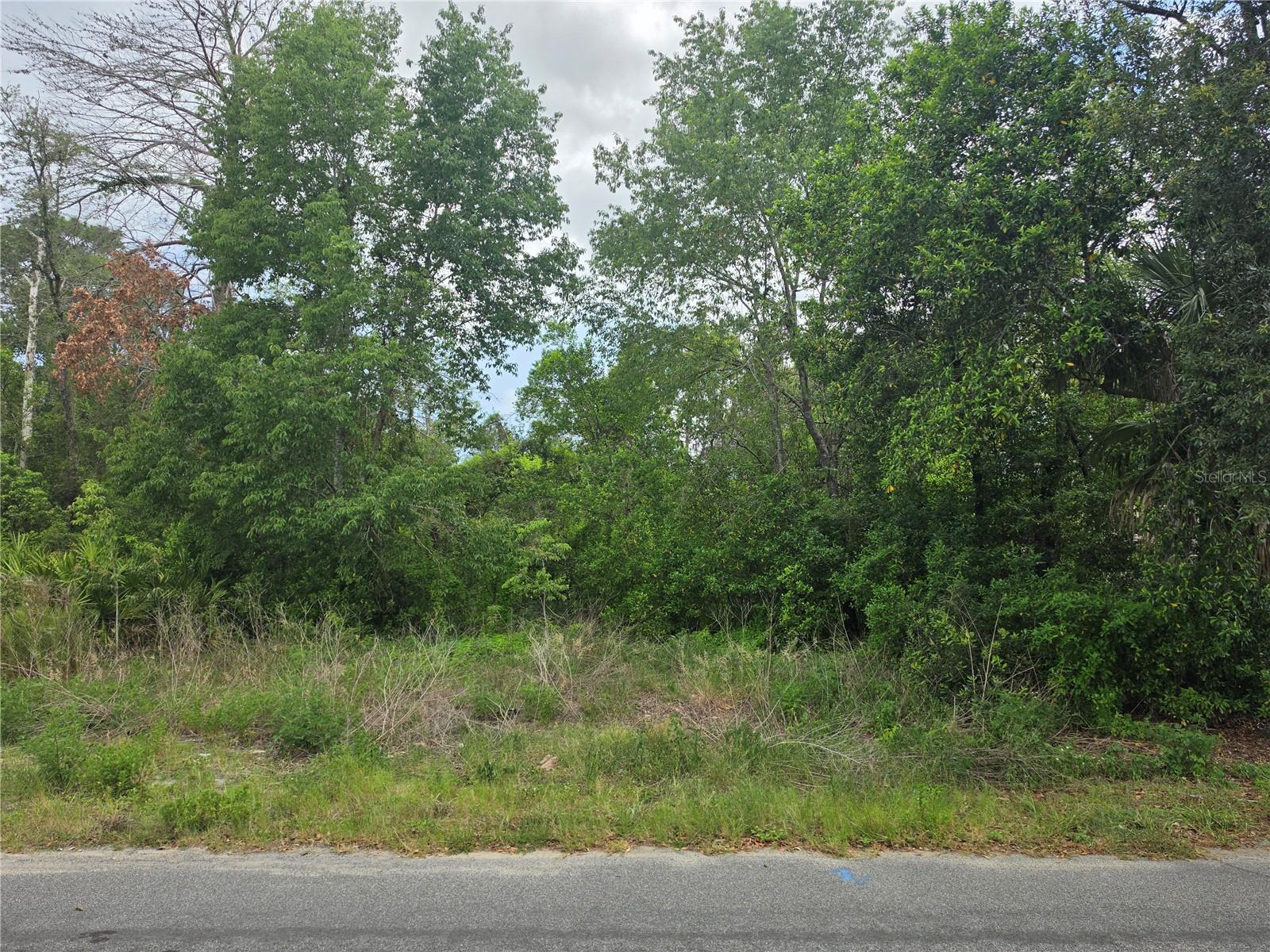 3475 El Prado Ave Property Photo 4