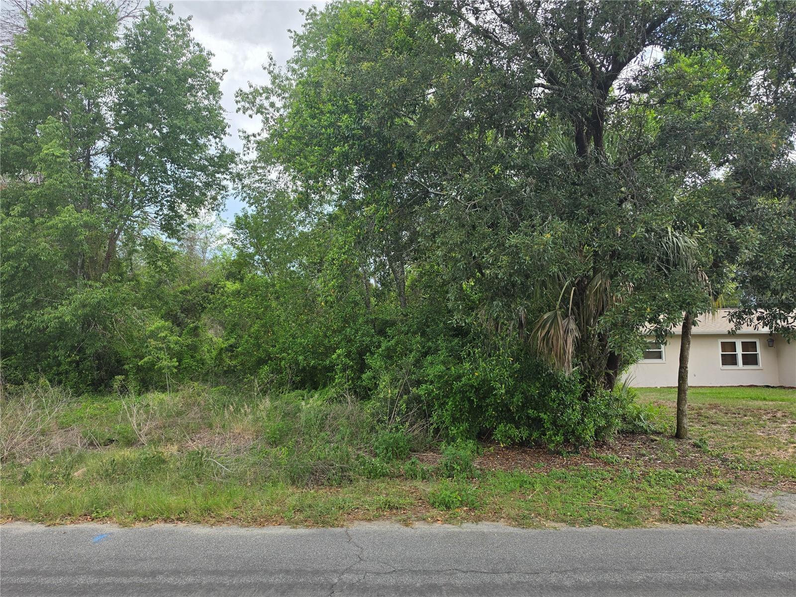 3475 El Prado Ave Property Photo 5