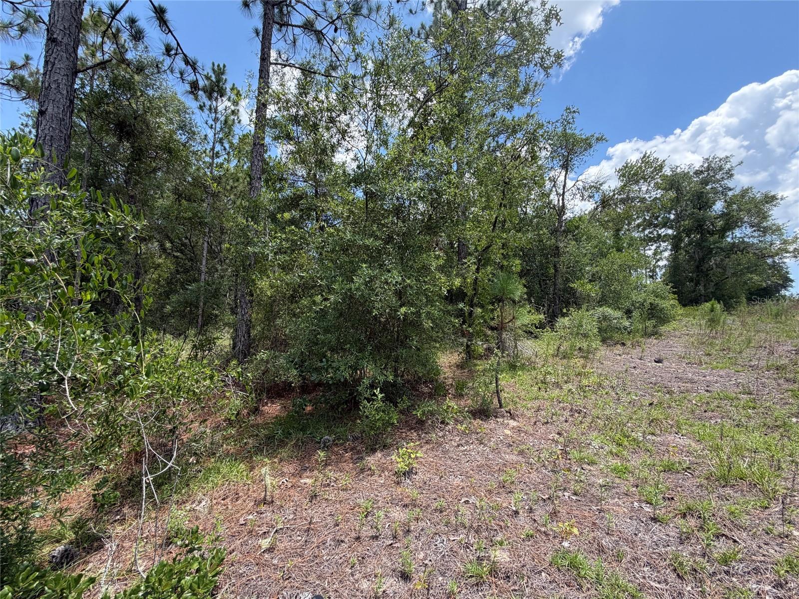 00 Ne 65th Ter Property Photo 3