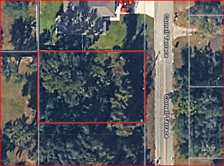 1225 Cornell Ter Property Photo 1