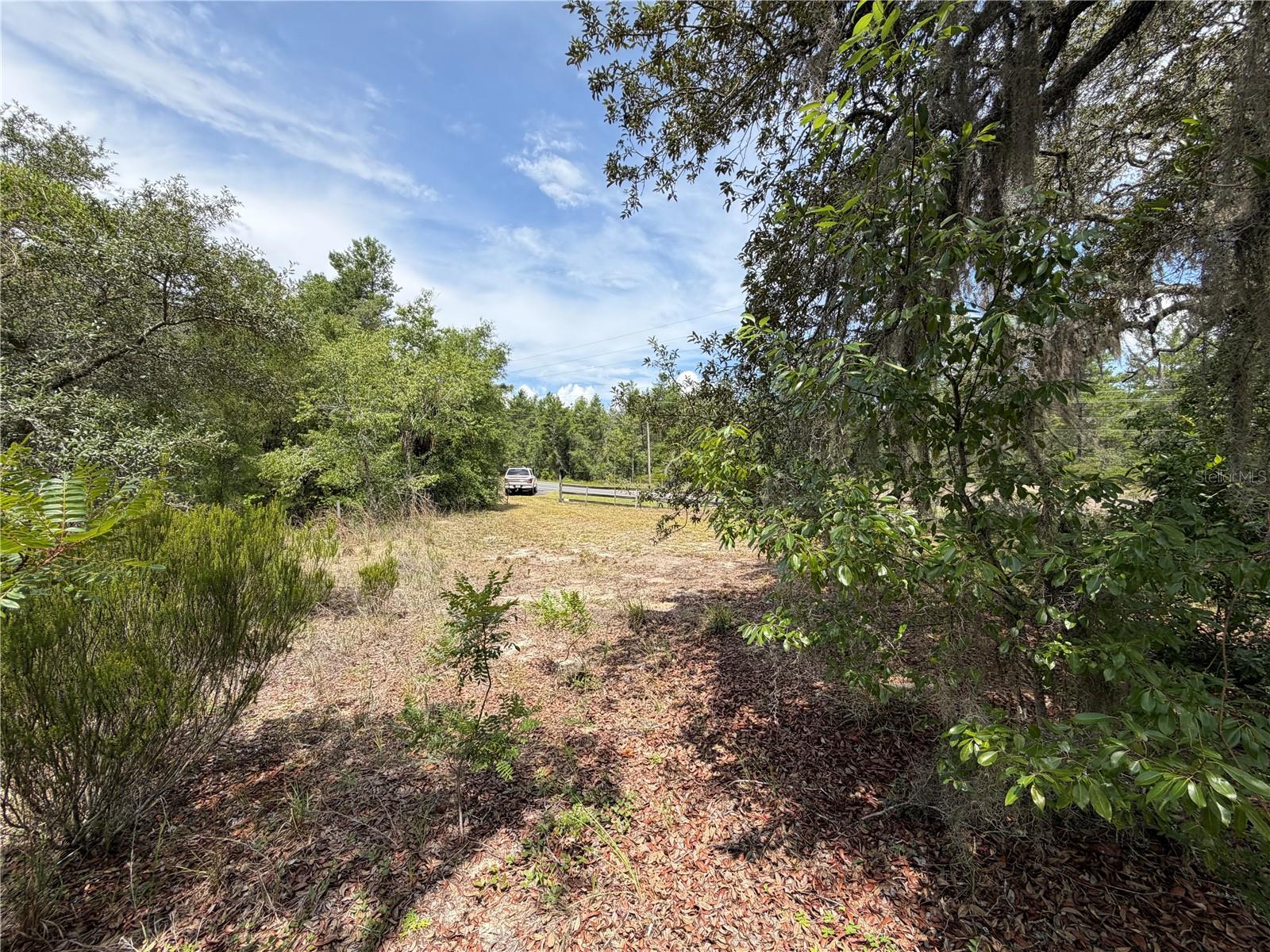9730 Ne State Road 24 Property Photo 11