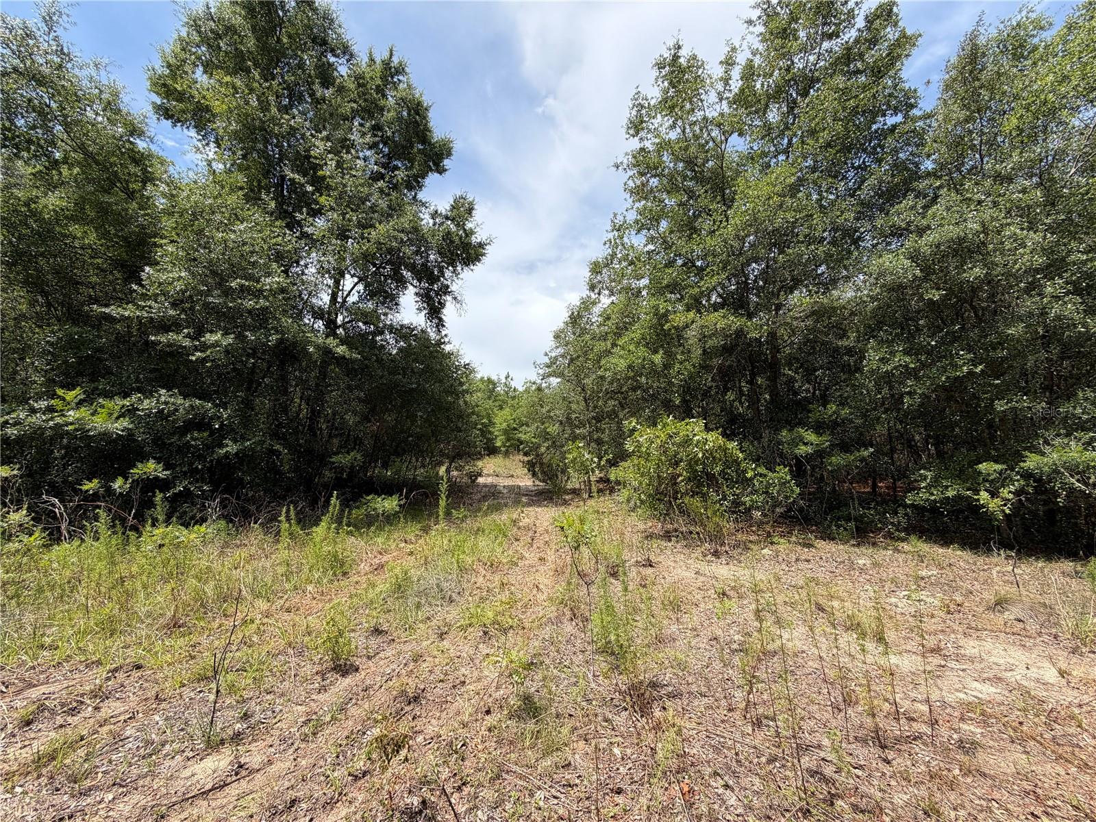 9730 Ne State Road 24 Property Photo 13