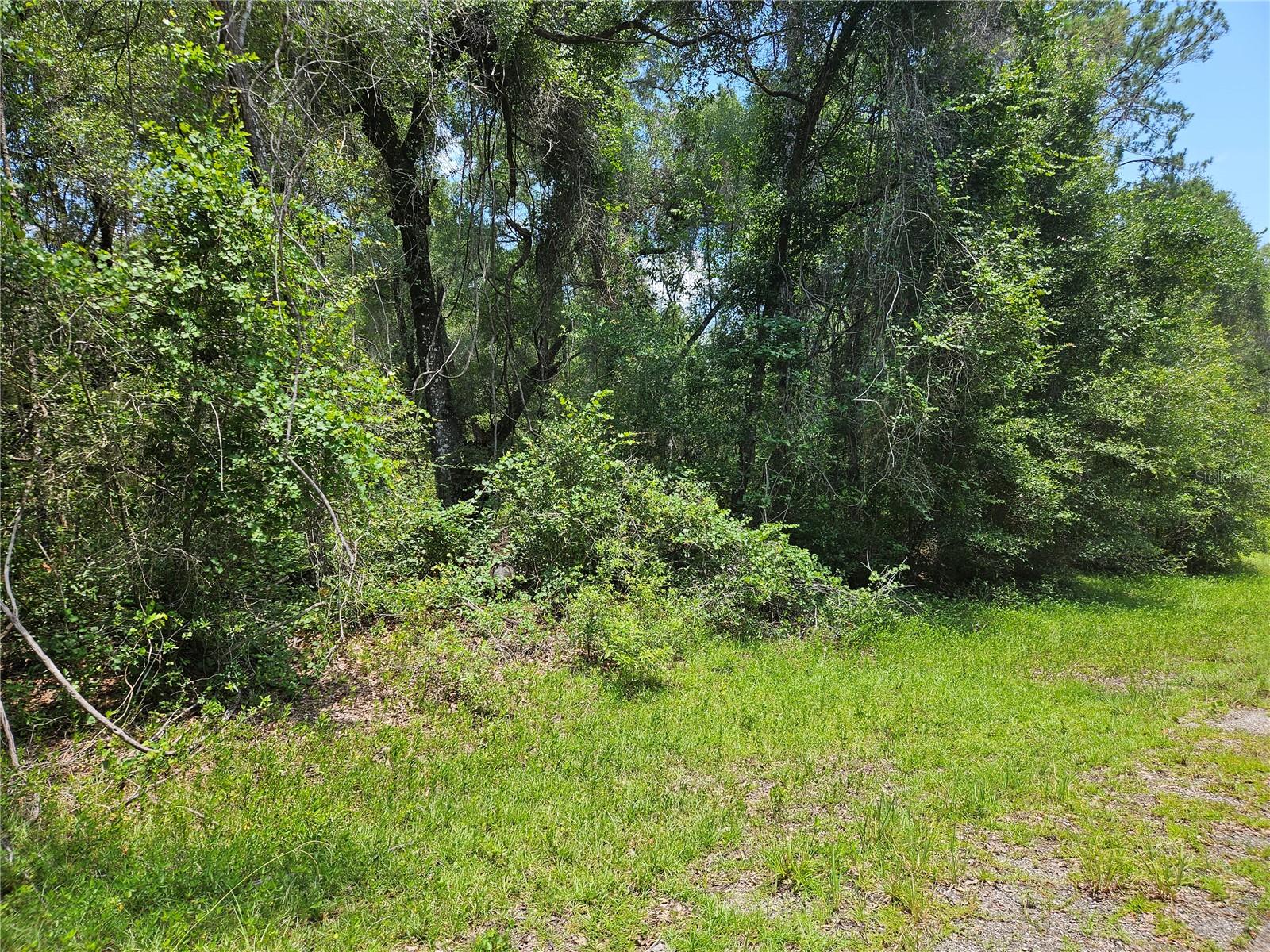 1139 Kingsdale St. Property Photo 1