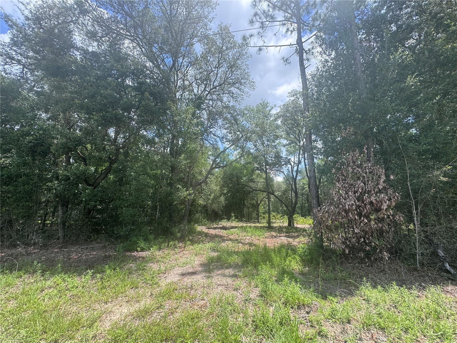 751 Ne 139th Ave Property Photo 1