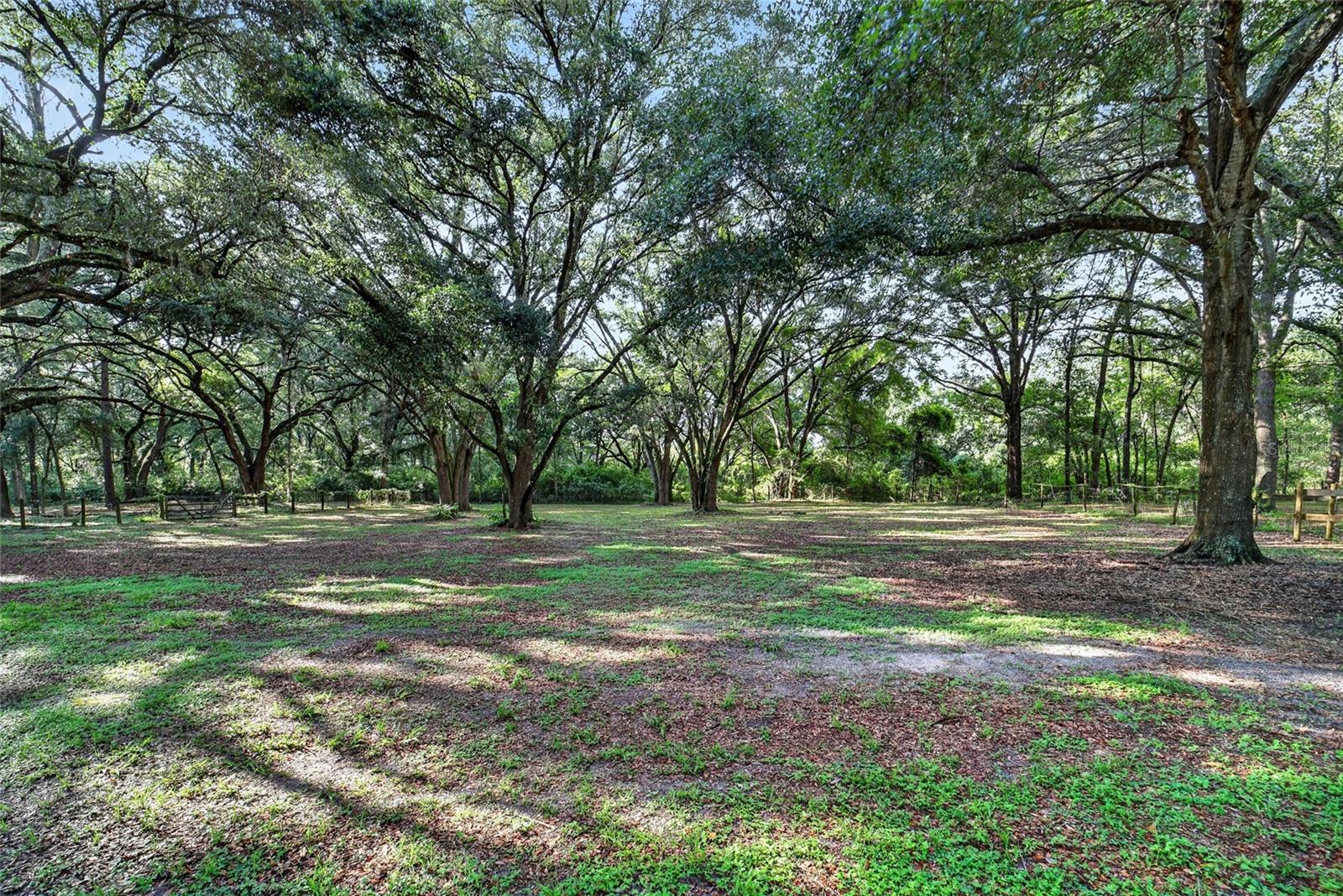 14210 Nw Highway 464b Property Photo 33