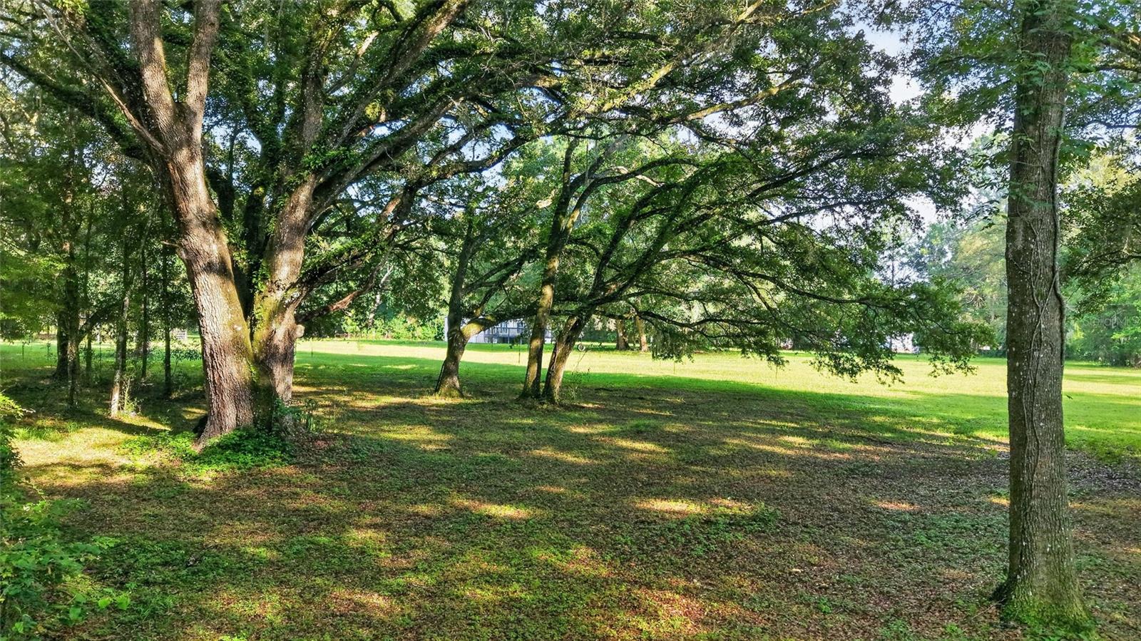 14210 Nw Highway 464b Property Photo 35