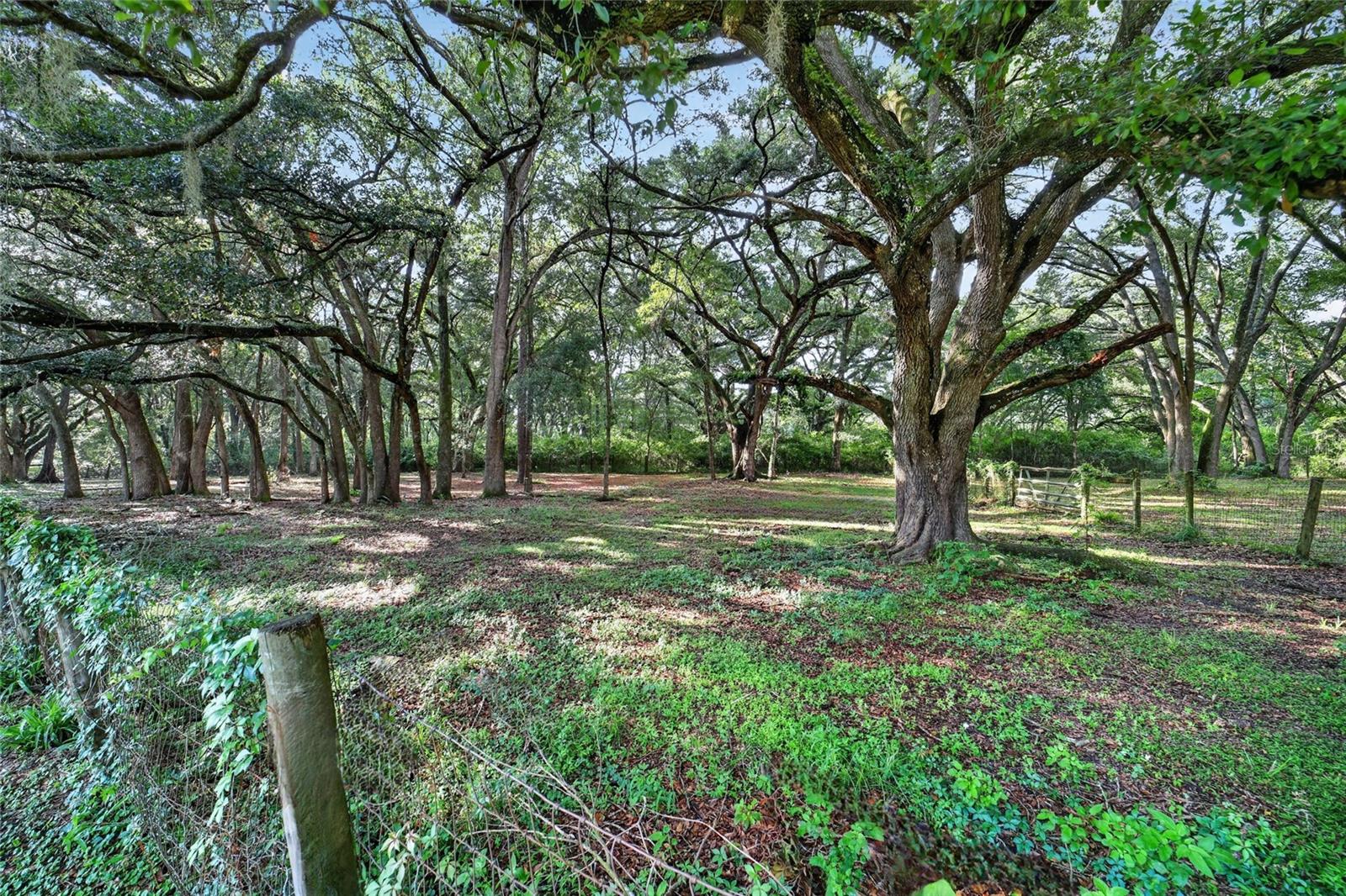 14210 Nw Highway 464b Property Photo 78