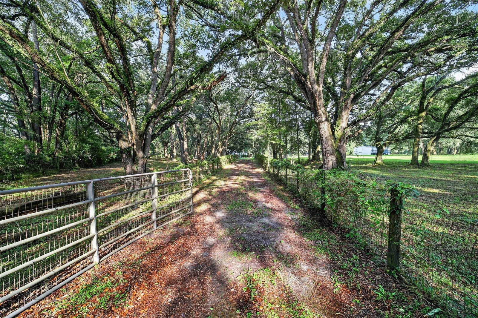 14210 Nw Highway 464b Property Photo 80