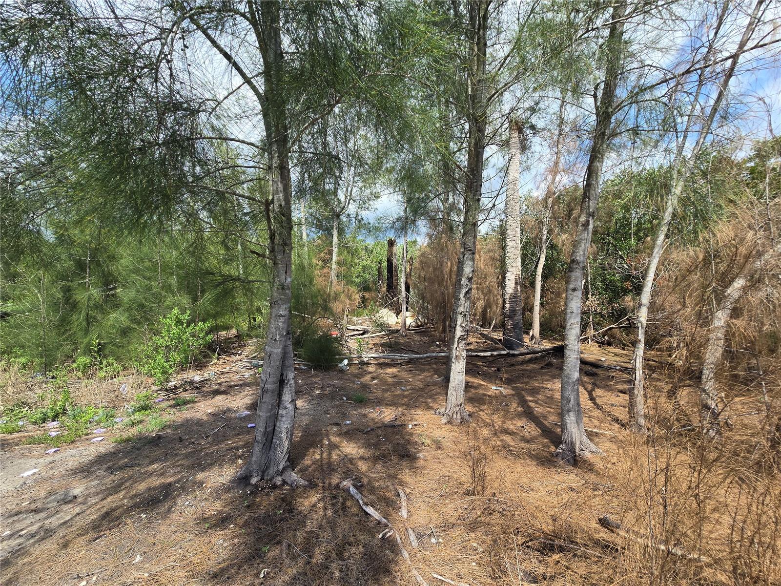 Main Street Property Photo 19