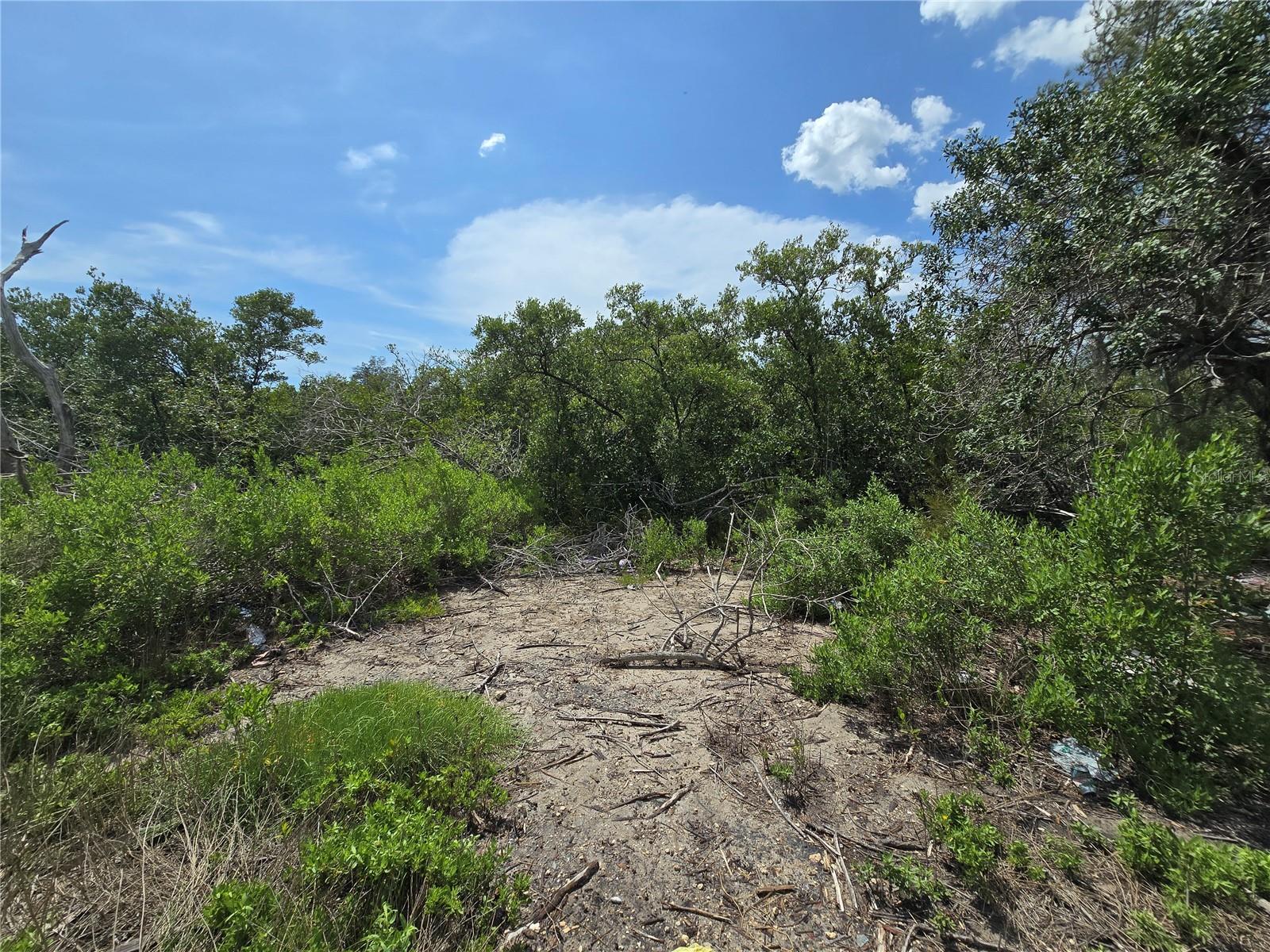 Main Street Property Photo 22
