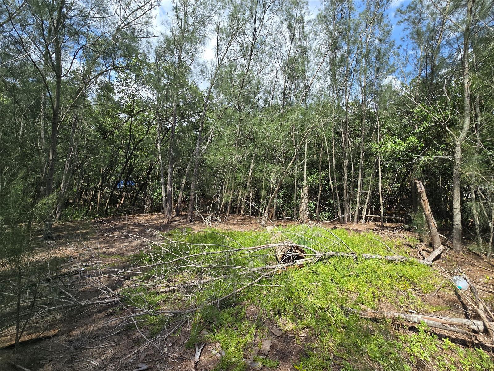 Main Street Property Photo 25