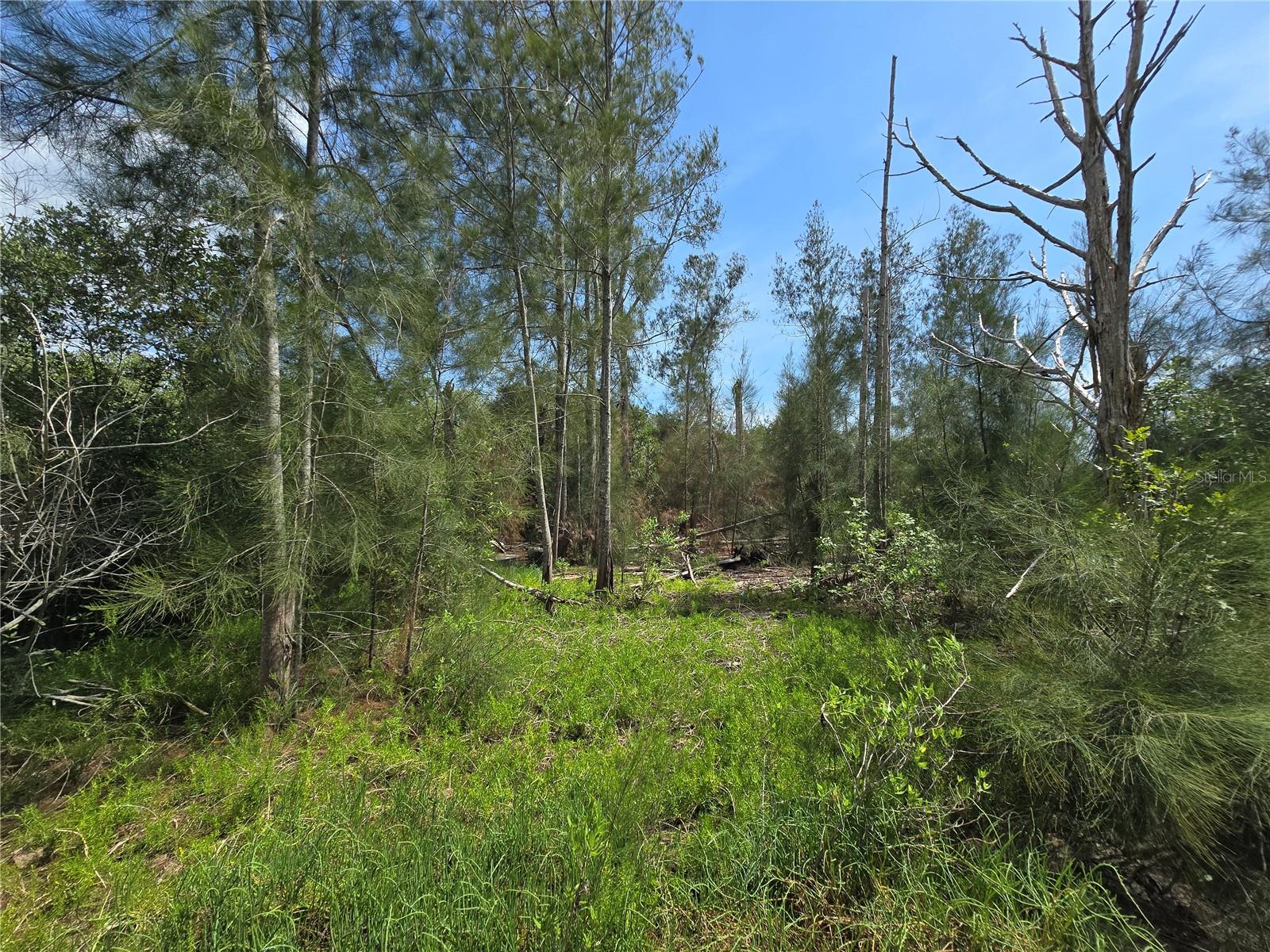Main Street Property Photo 26