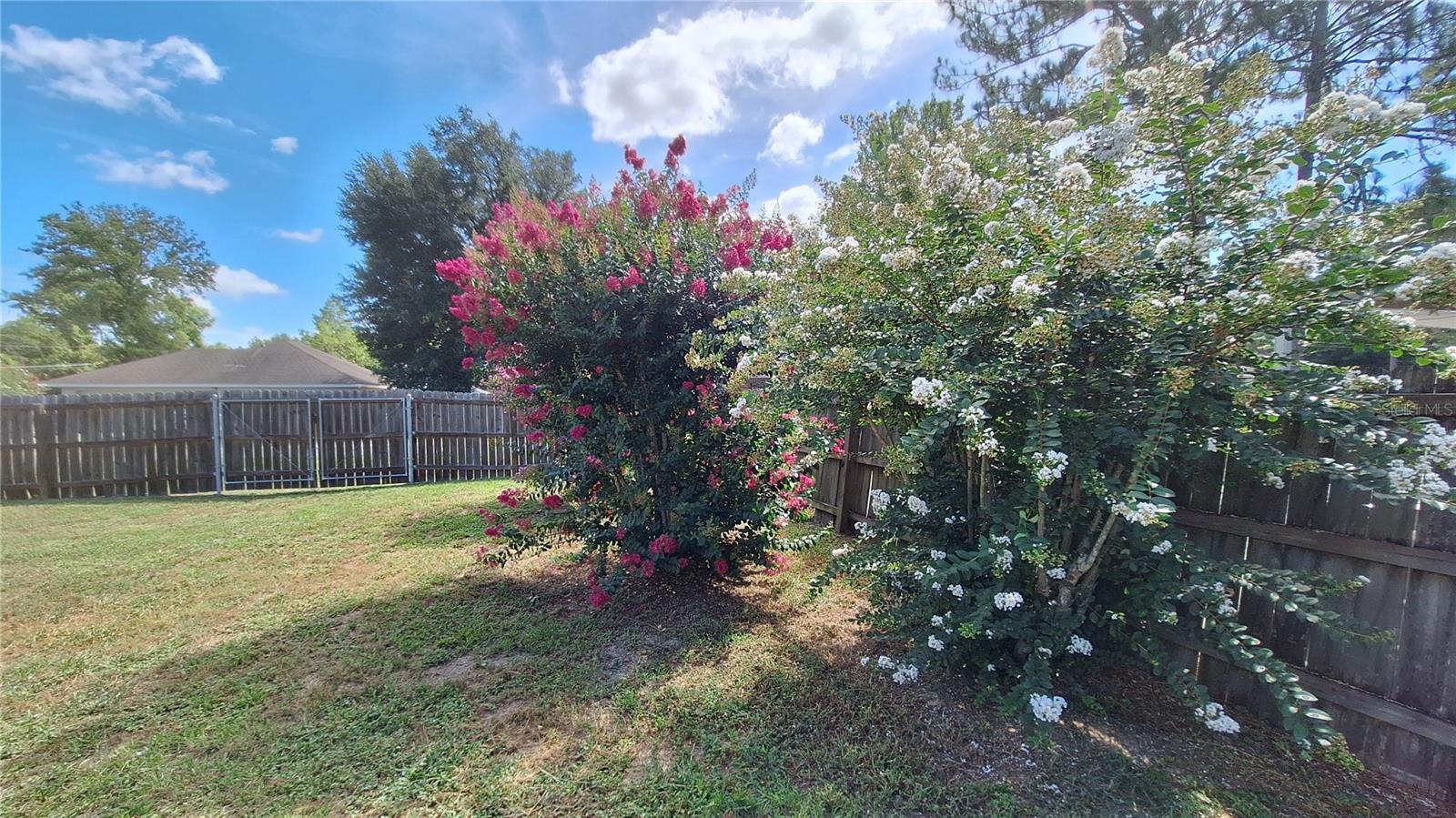 80 Pecan Pass Property Photo 29