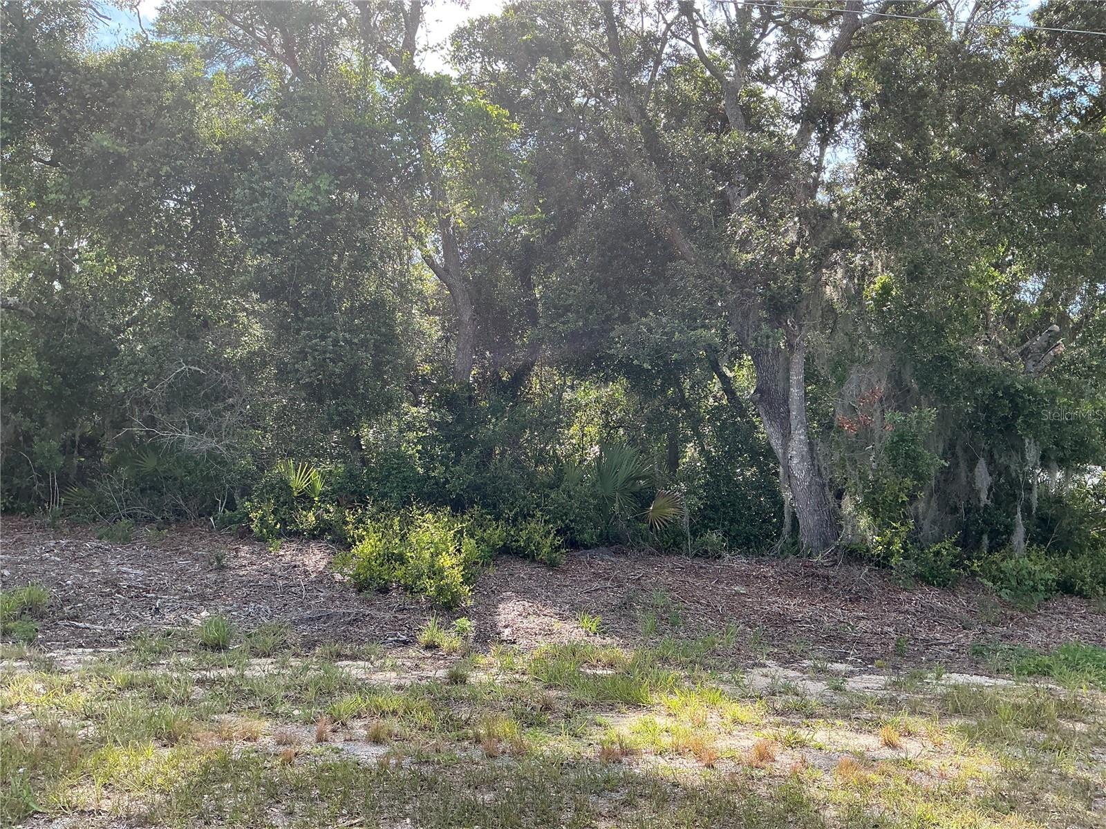 Olive Rd Property Photo 1