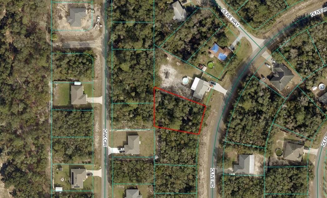 Olive Rd Property Photo 2