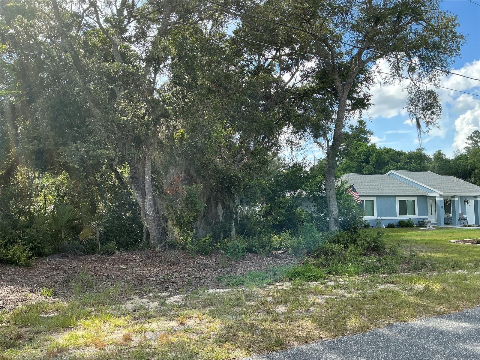 Olive Rd Property Photo 3