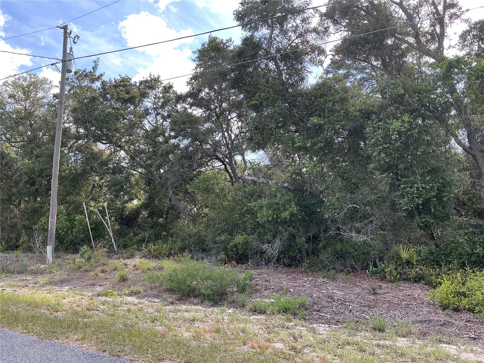 Olive Rd Property Photo 4