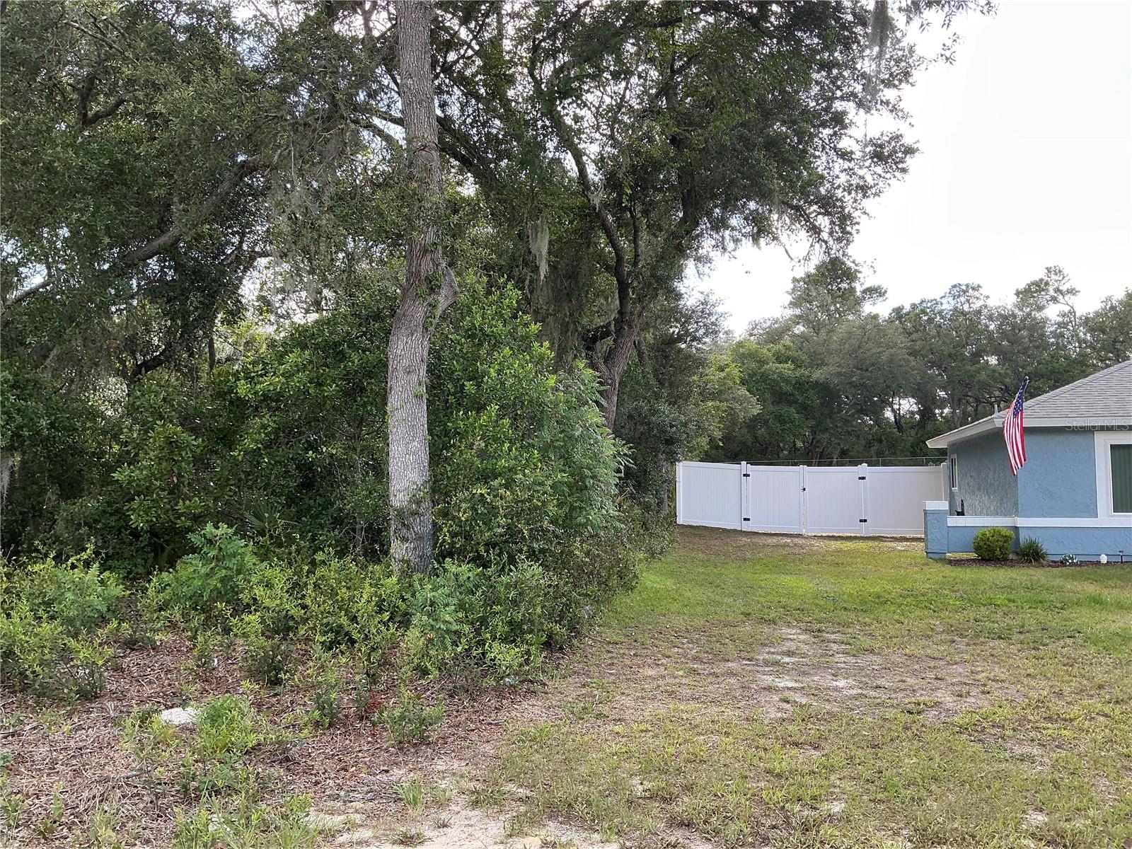 Olive Rd Property Photo 5