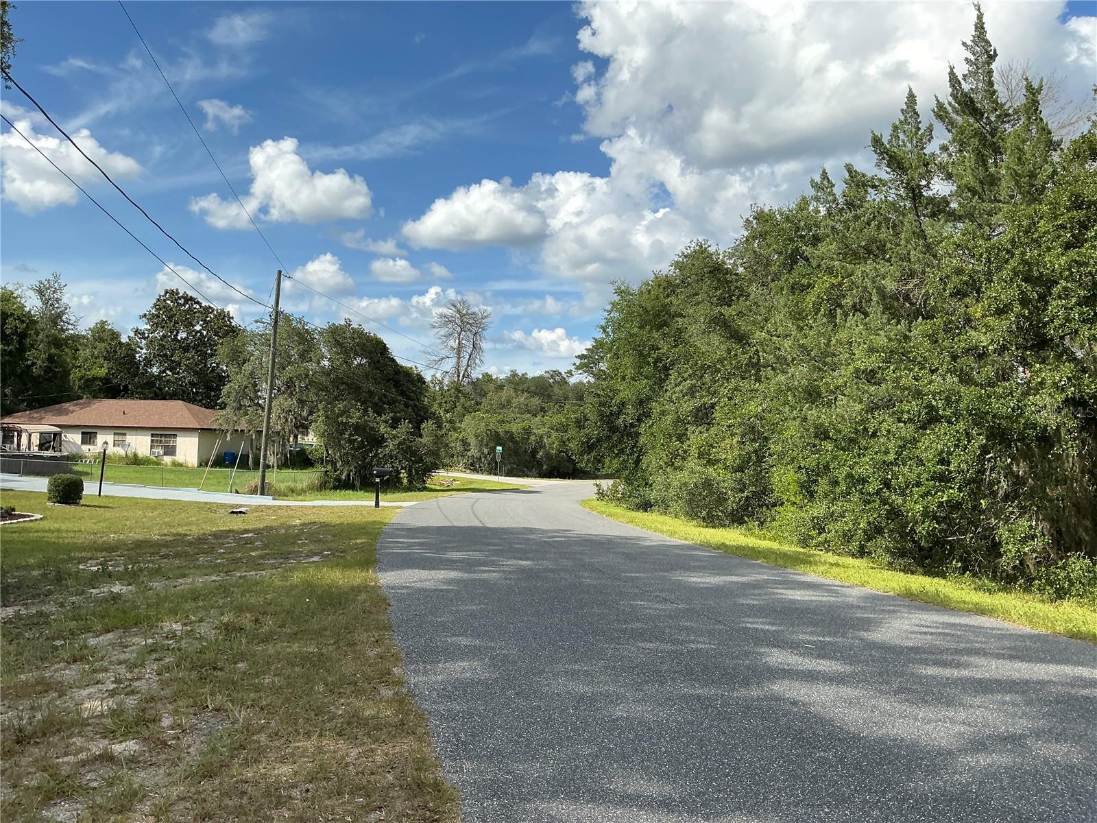 Olive Rd Property Photo 7