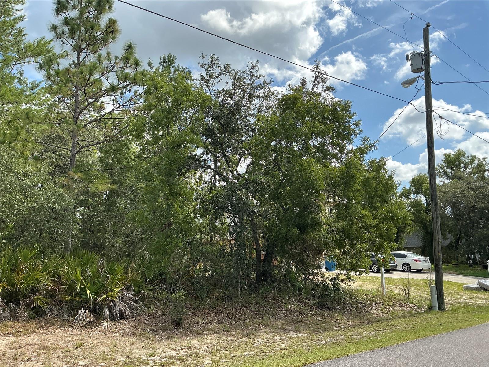Persimmon Ave Property Photo 4