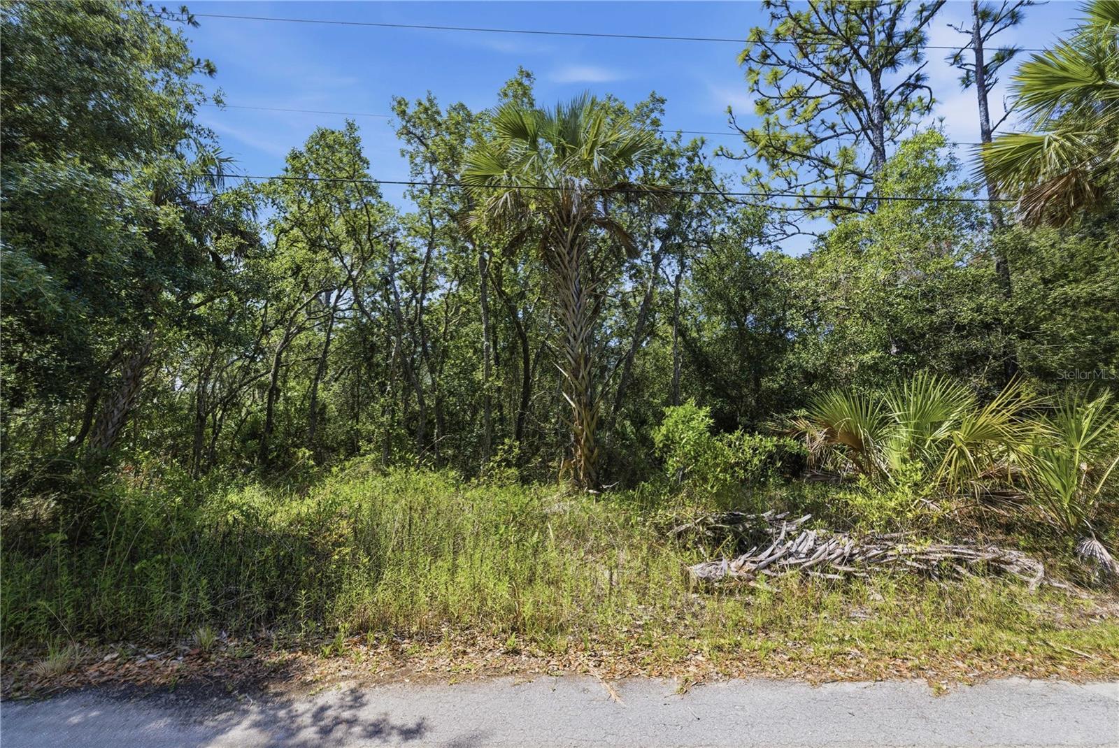 8266 W Anna Gail Ln Property Photo 6