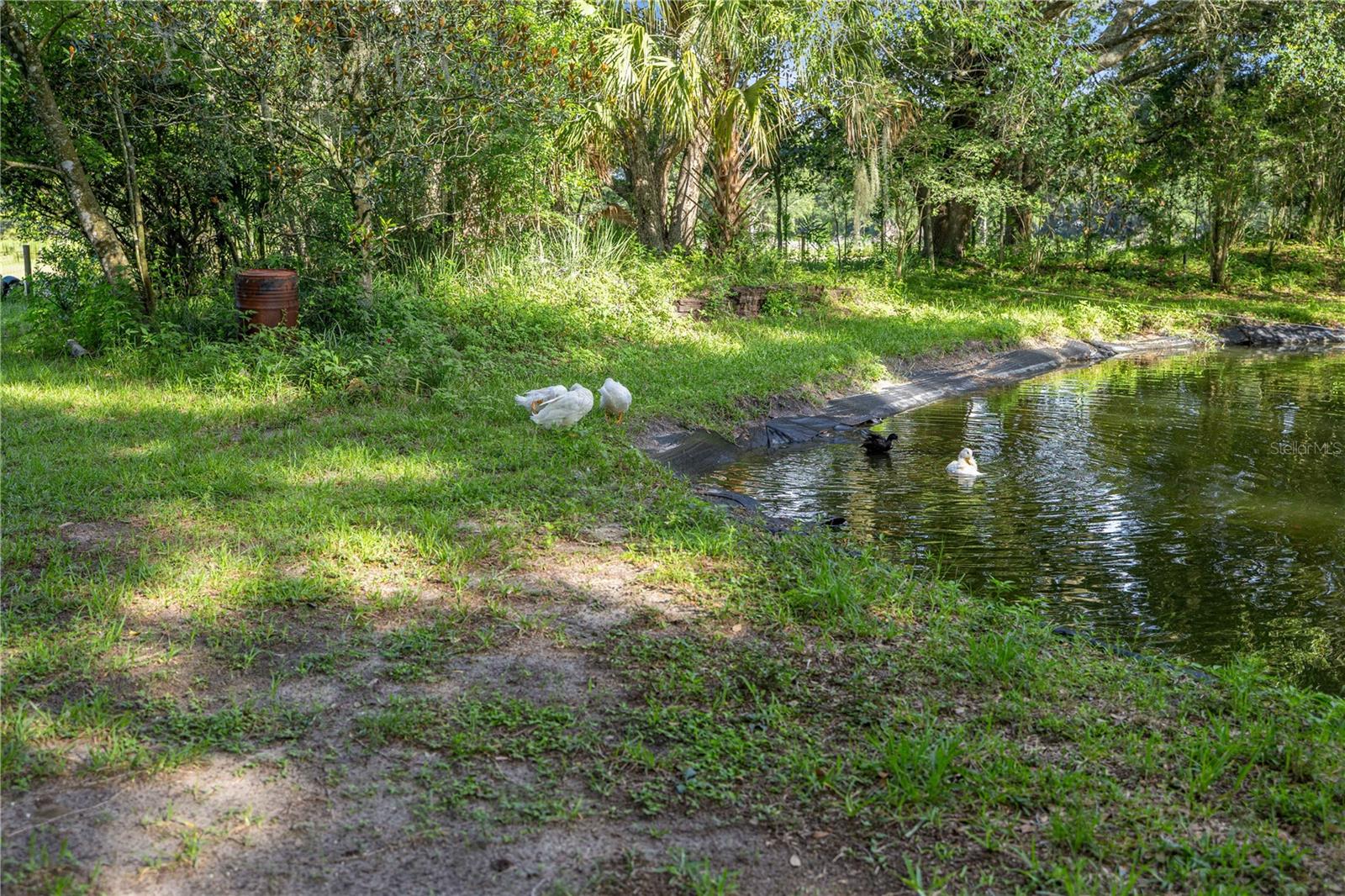 16250 Sw 20th Avenue Rd Property Photo 51