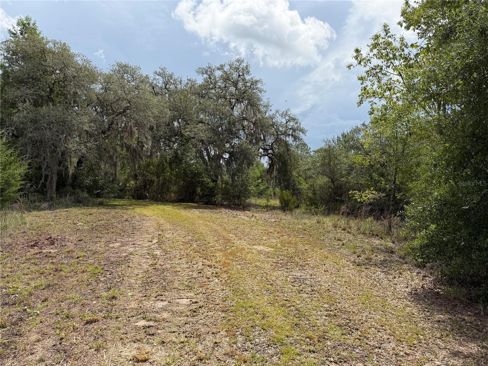 9730 Ne State Road 24 Property Photo 14