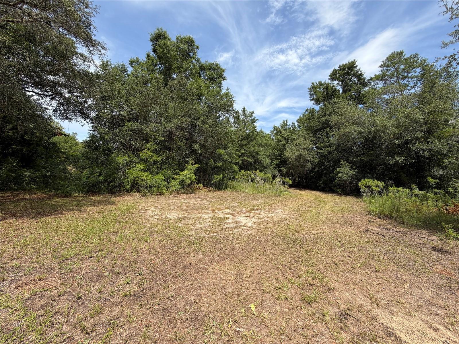 9730 Ne State Road 24 Property Photo 15