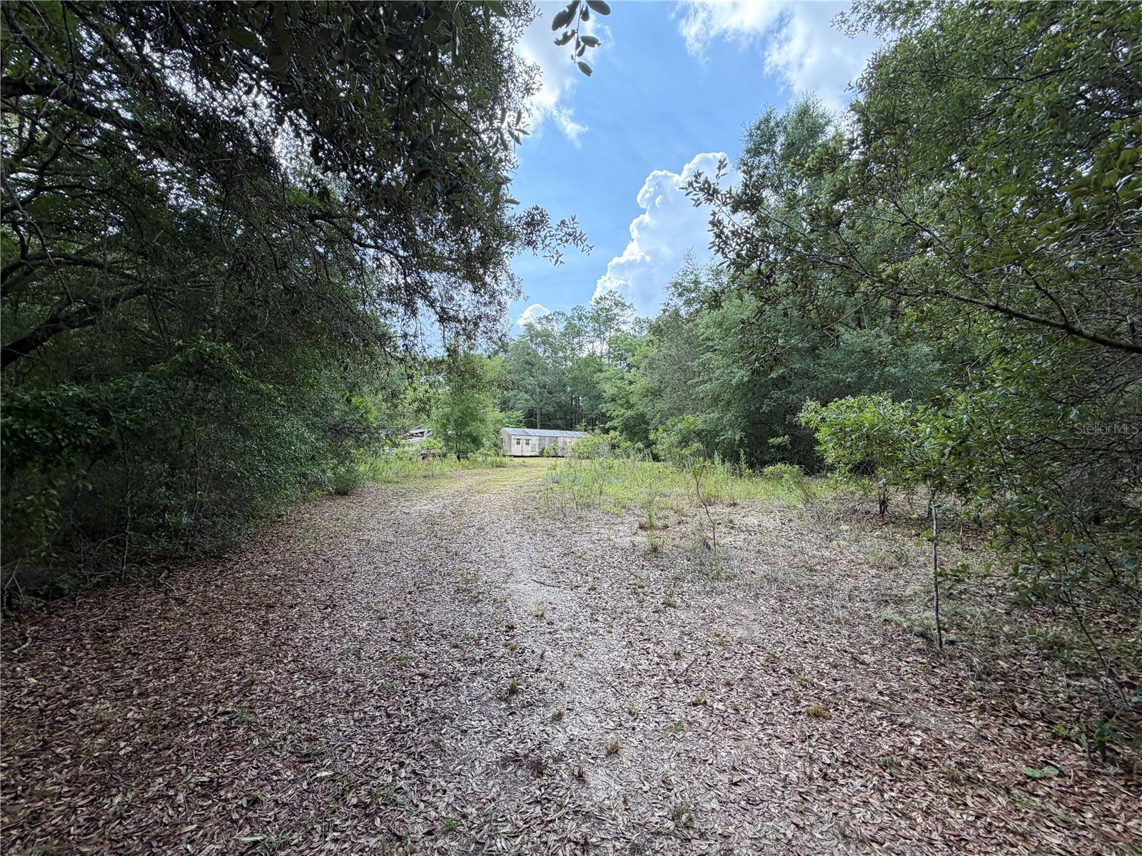 9730 Ne State Road 24 Property Photo 17