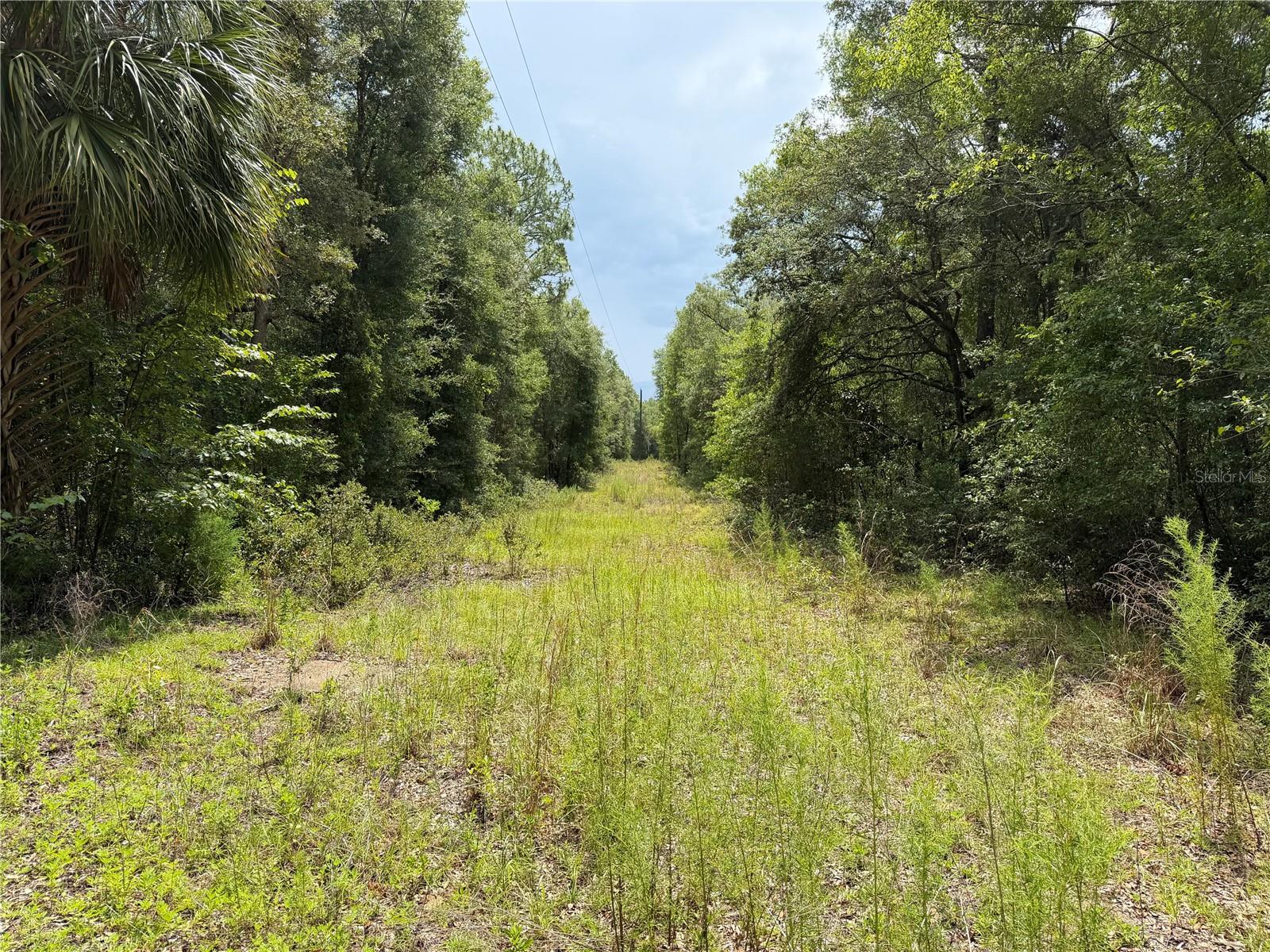 9730 Ne State Road 24 Property Photo 18