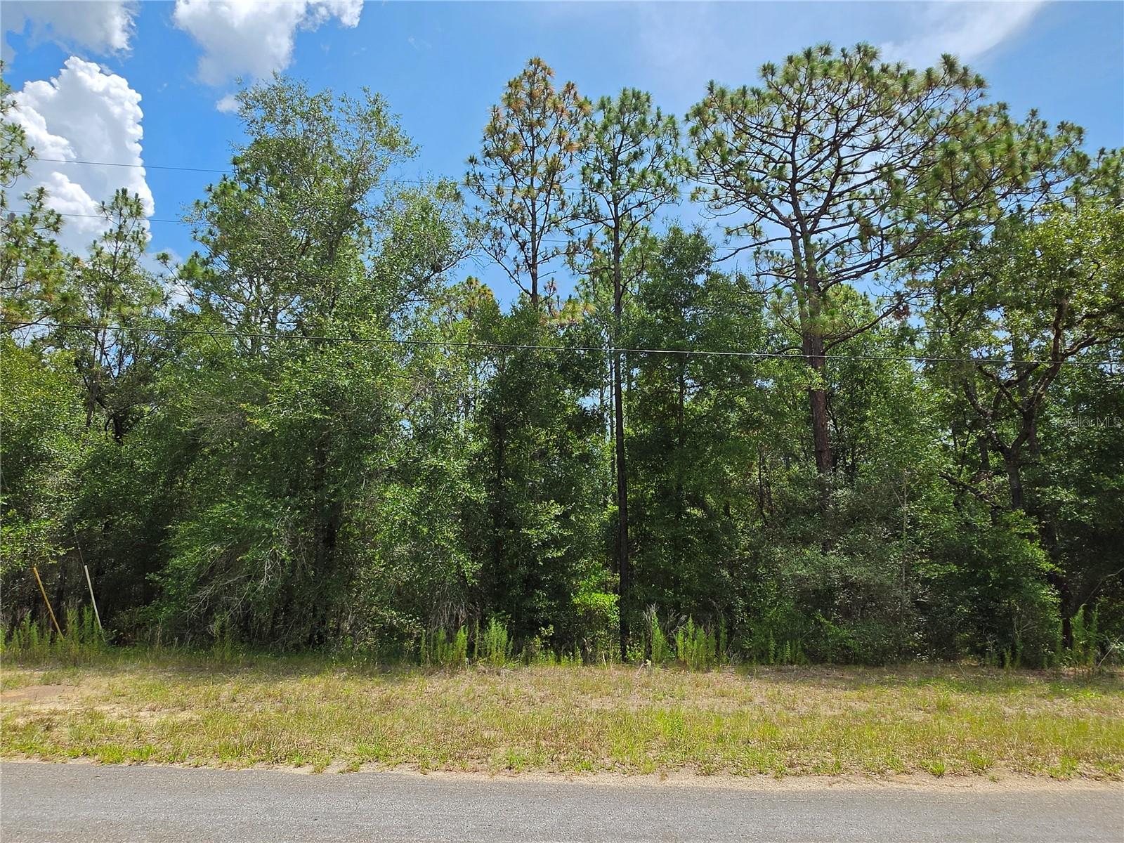 8425 N Foresome Way Property Photo 2