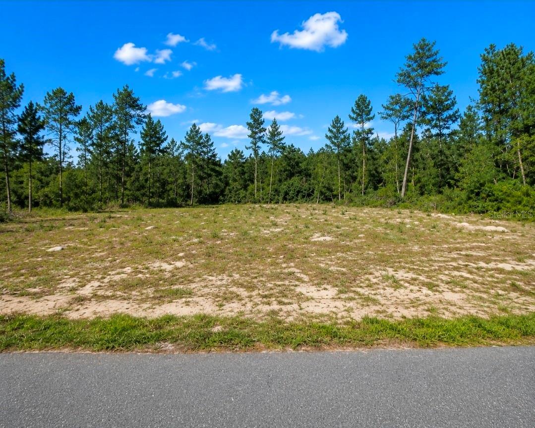 Tbd Sw 20th Court Rd Property Photo 1