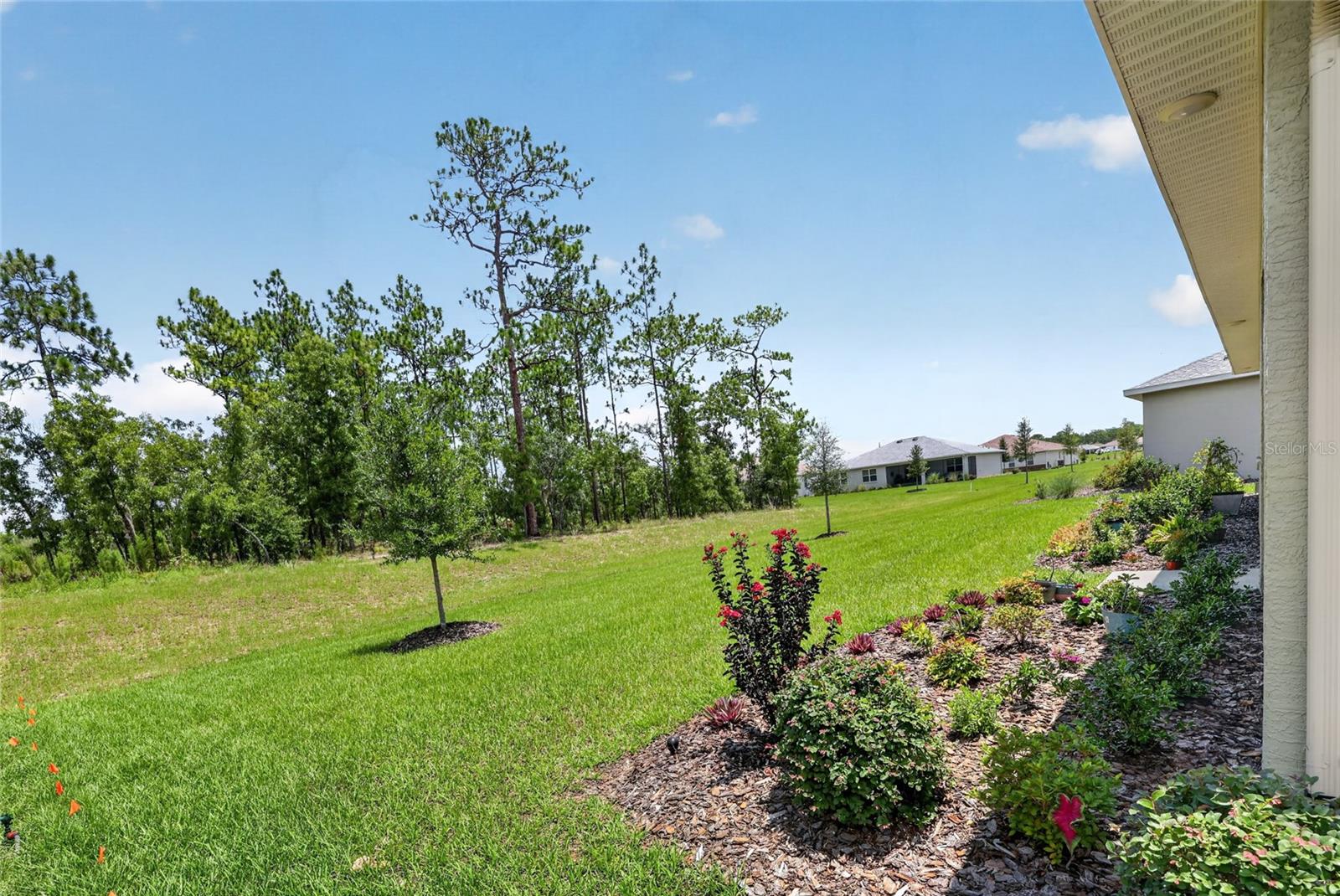10724 Sw 101st Loop Property Photo 5