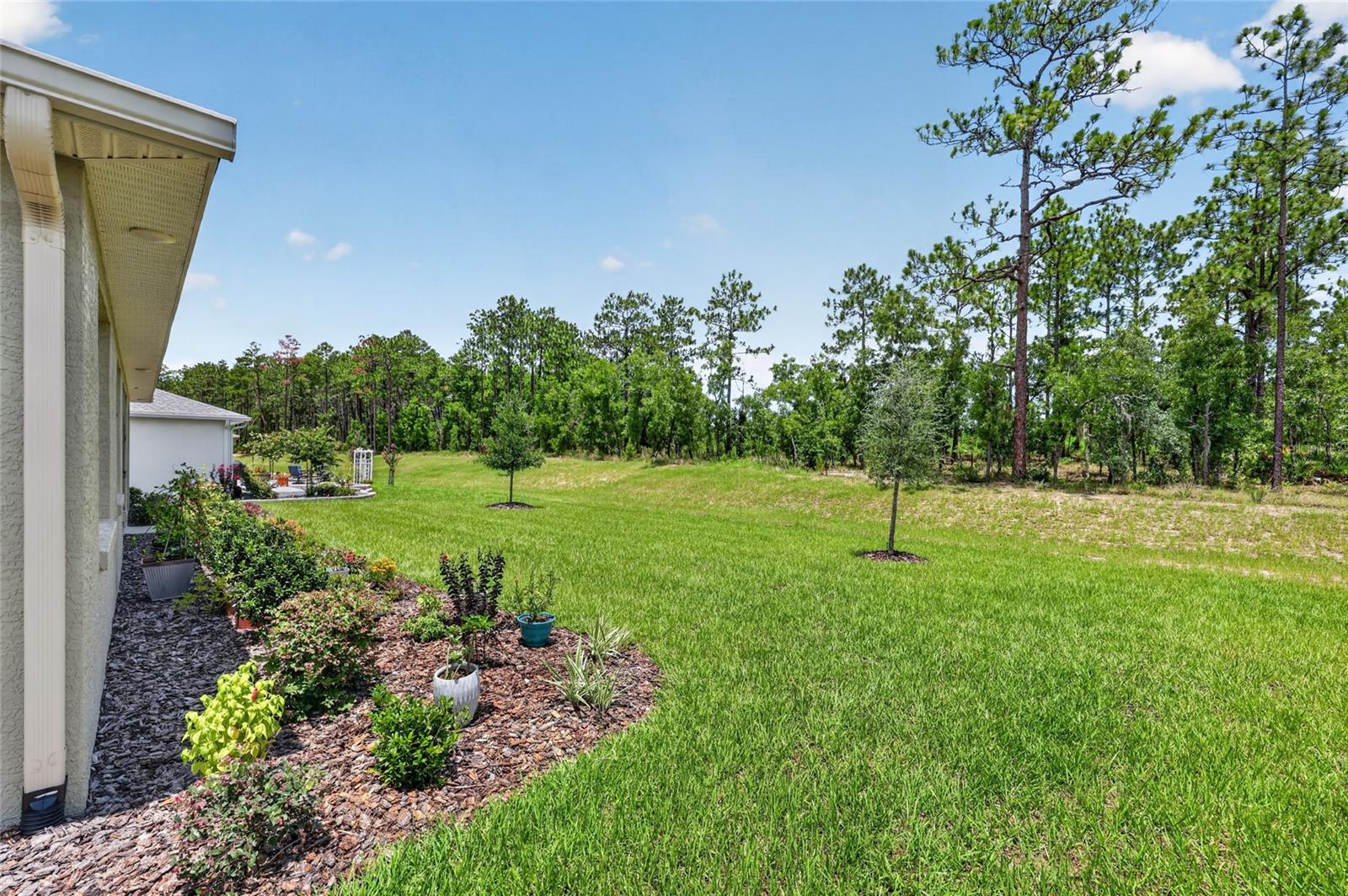 10724 Sw 101st Loop Property Photo 9