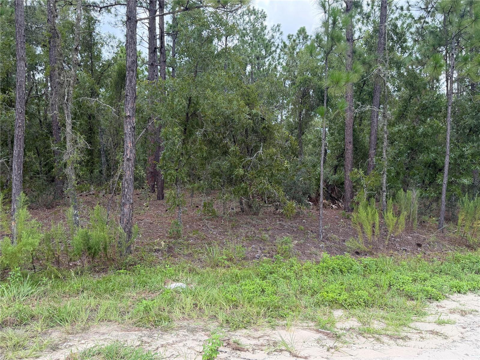 00 Sw 131 Ave Property Photo 1