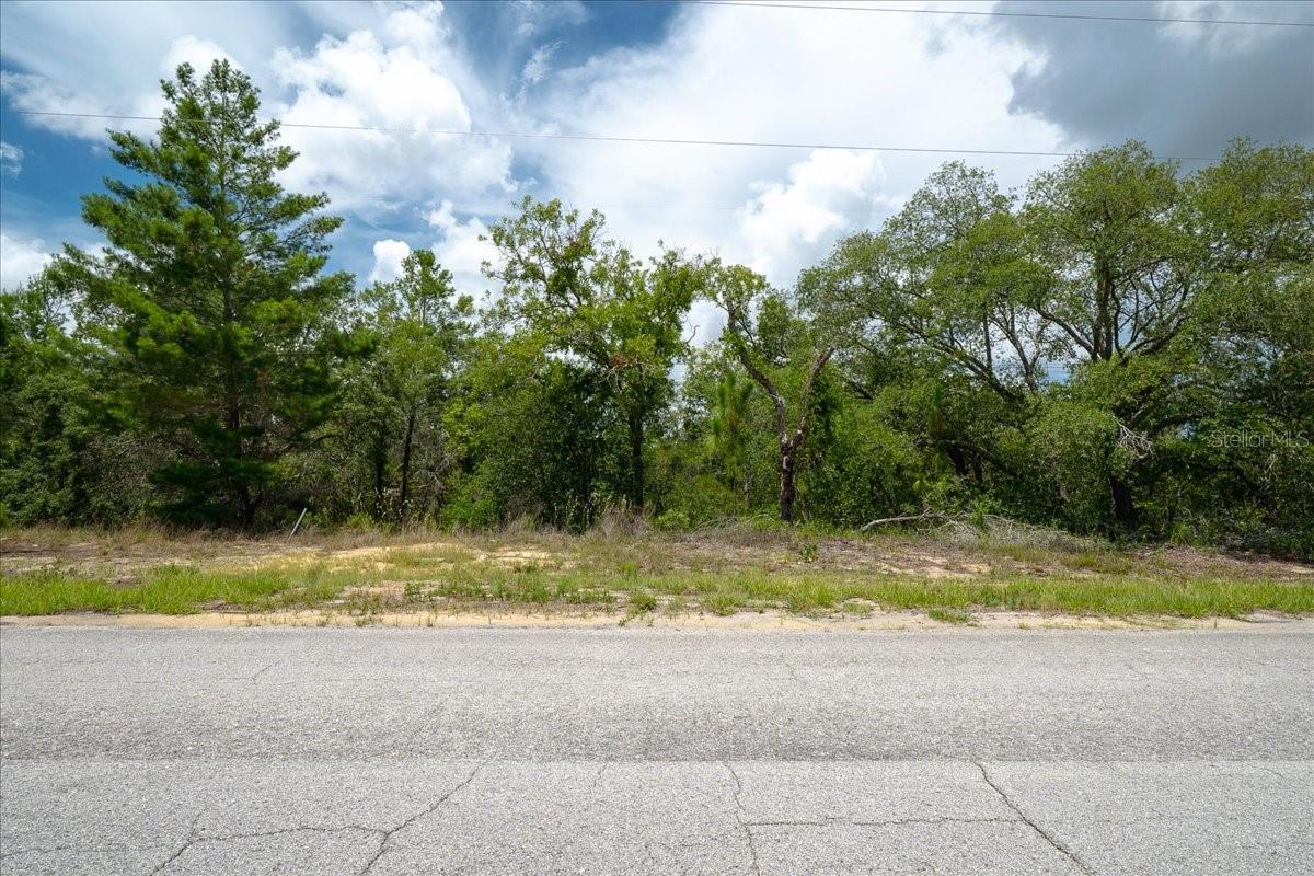 6830 N Sandborn Loop Property Photo 9